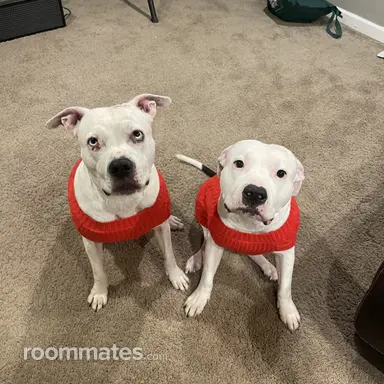 Thumbnail 15
