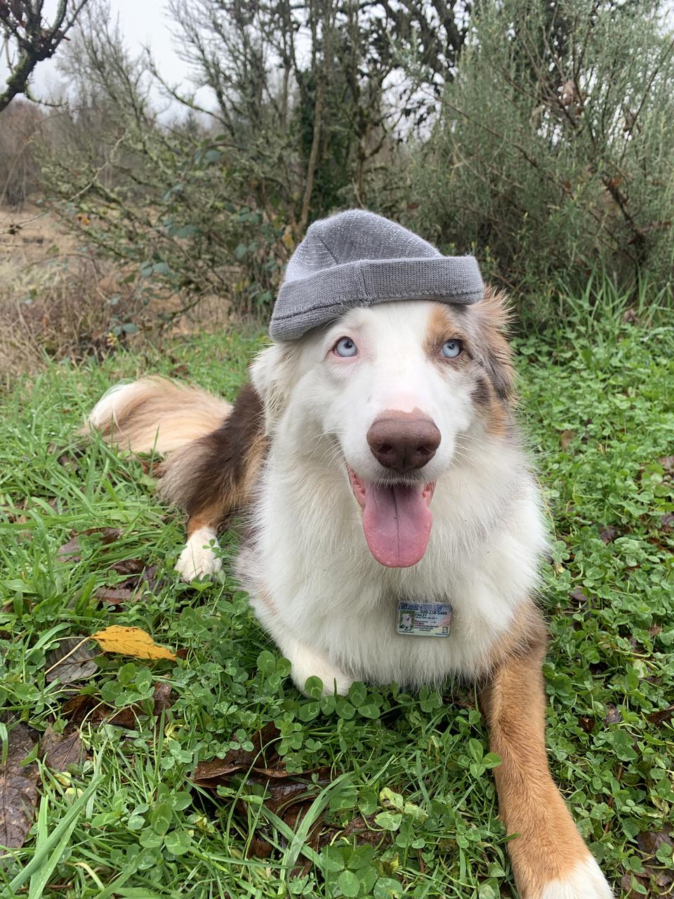 Profile photo 17 of 19