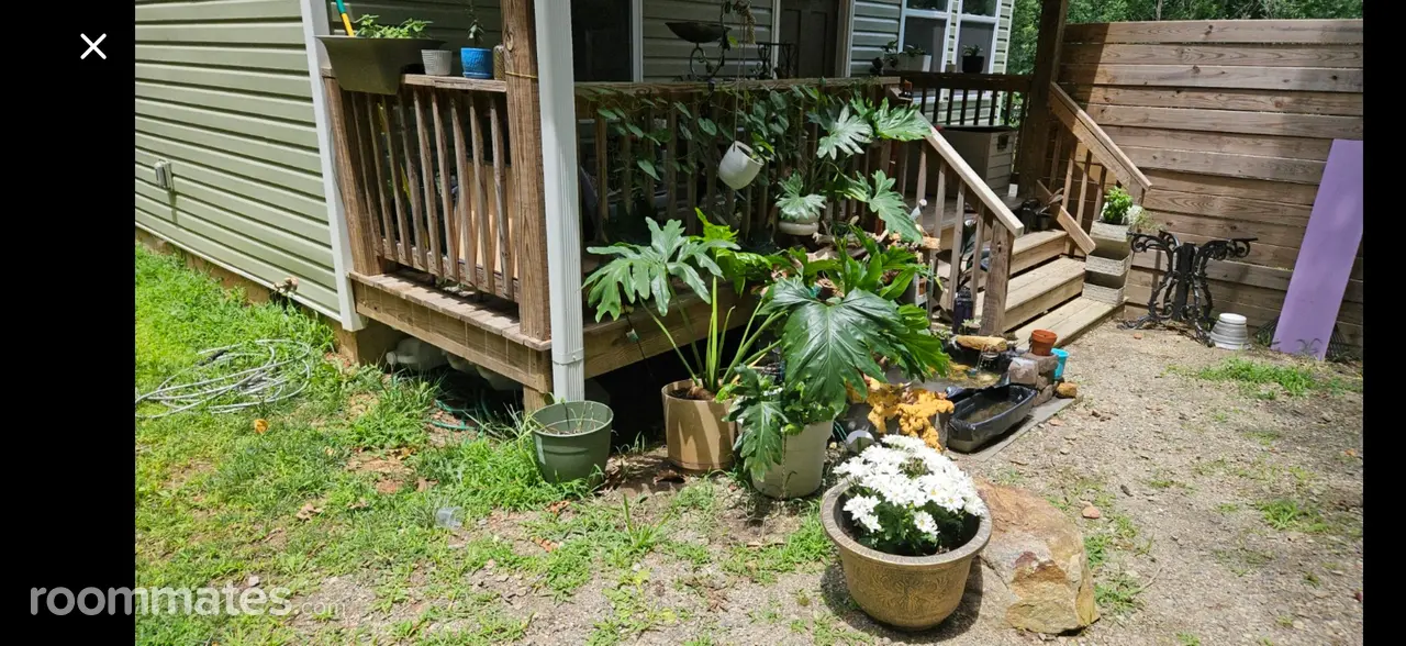 Profile photo 2 of 13