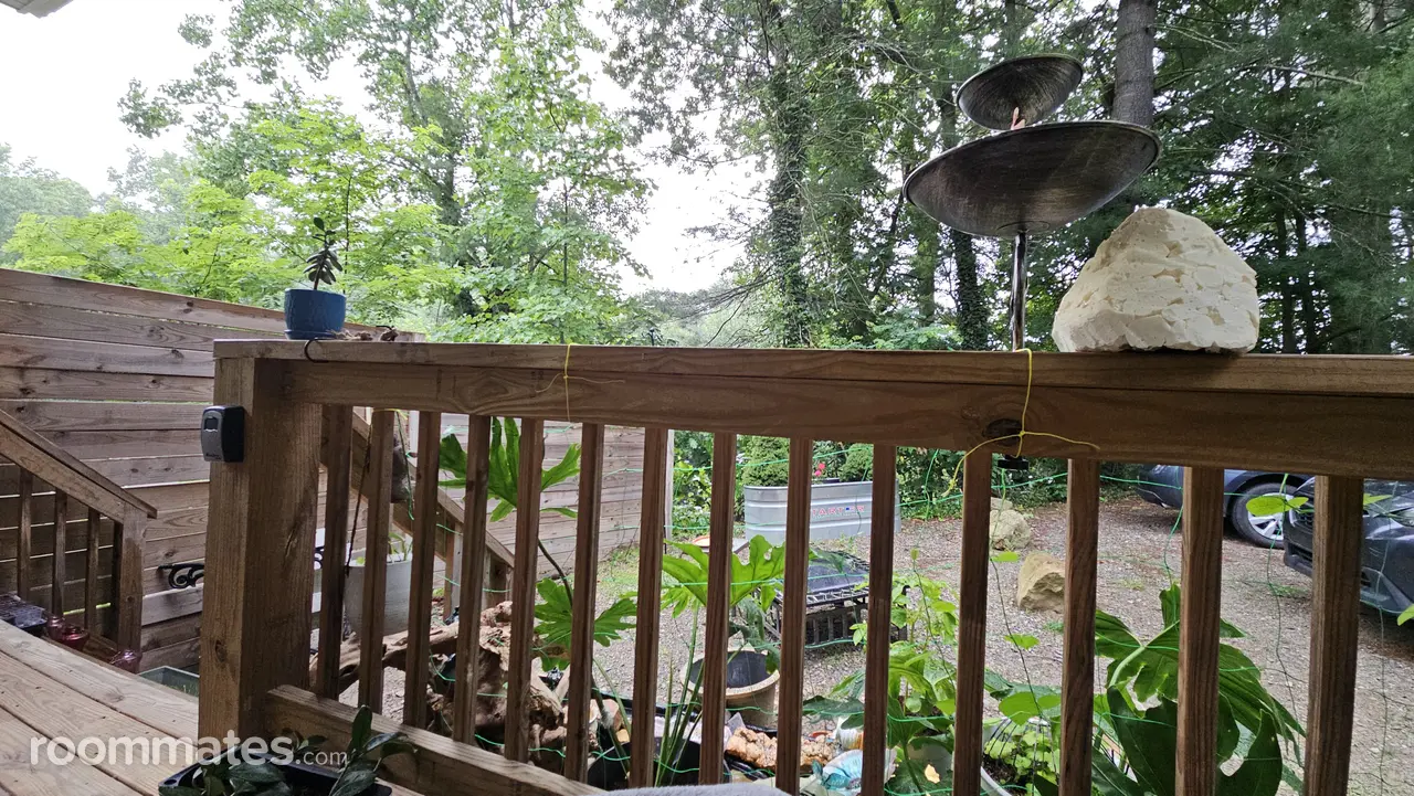 Profile photo 5 of 13