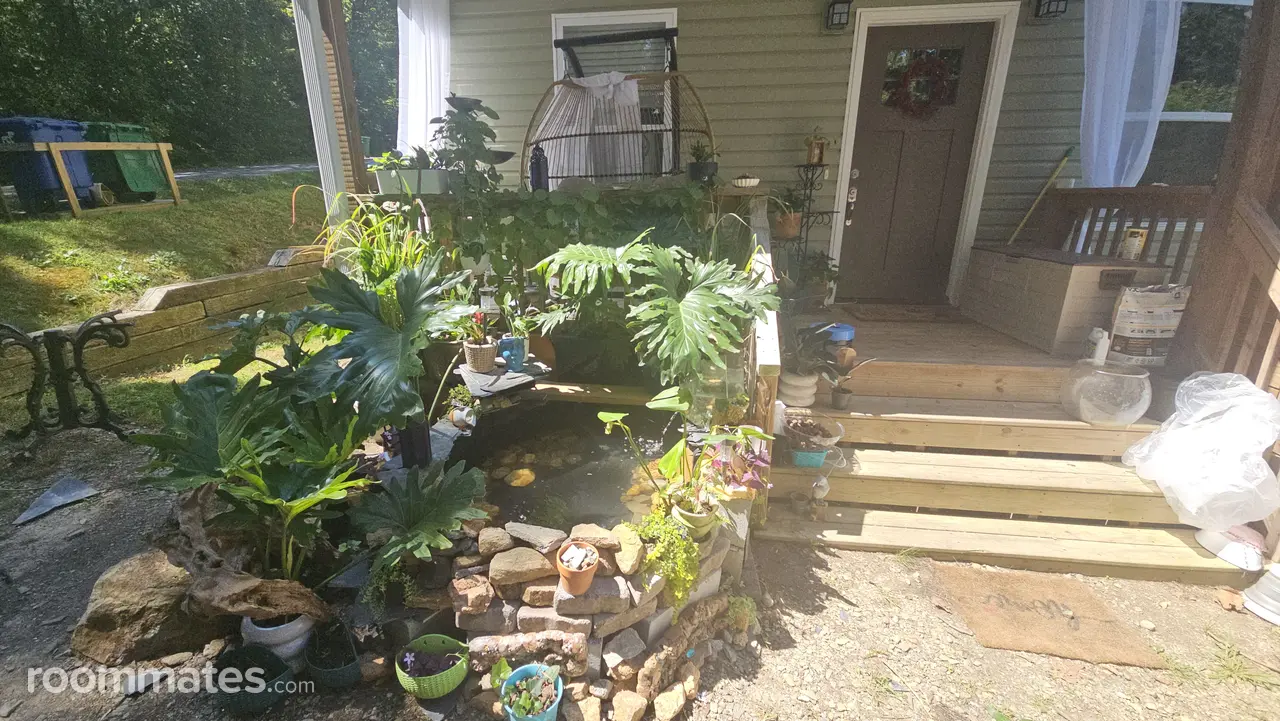 Profile photo 4 of 13