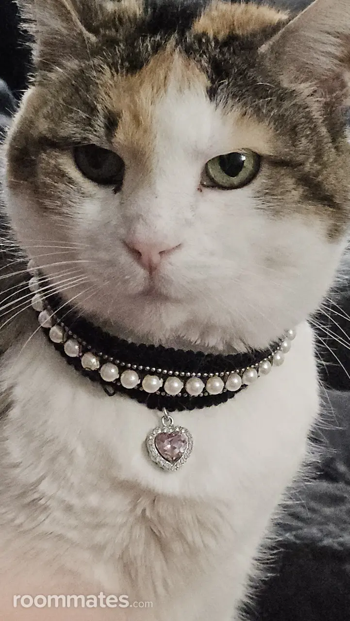 Profile photo 9 of 13