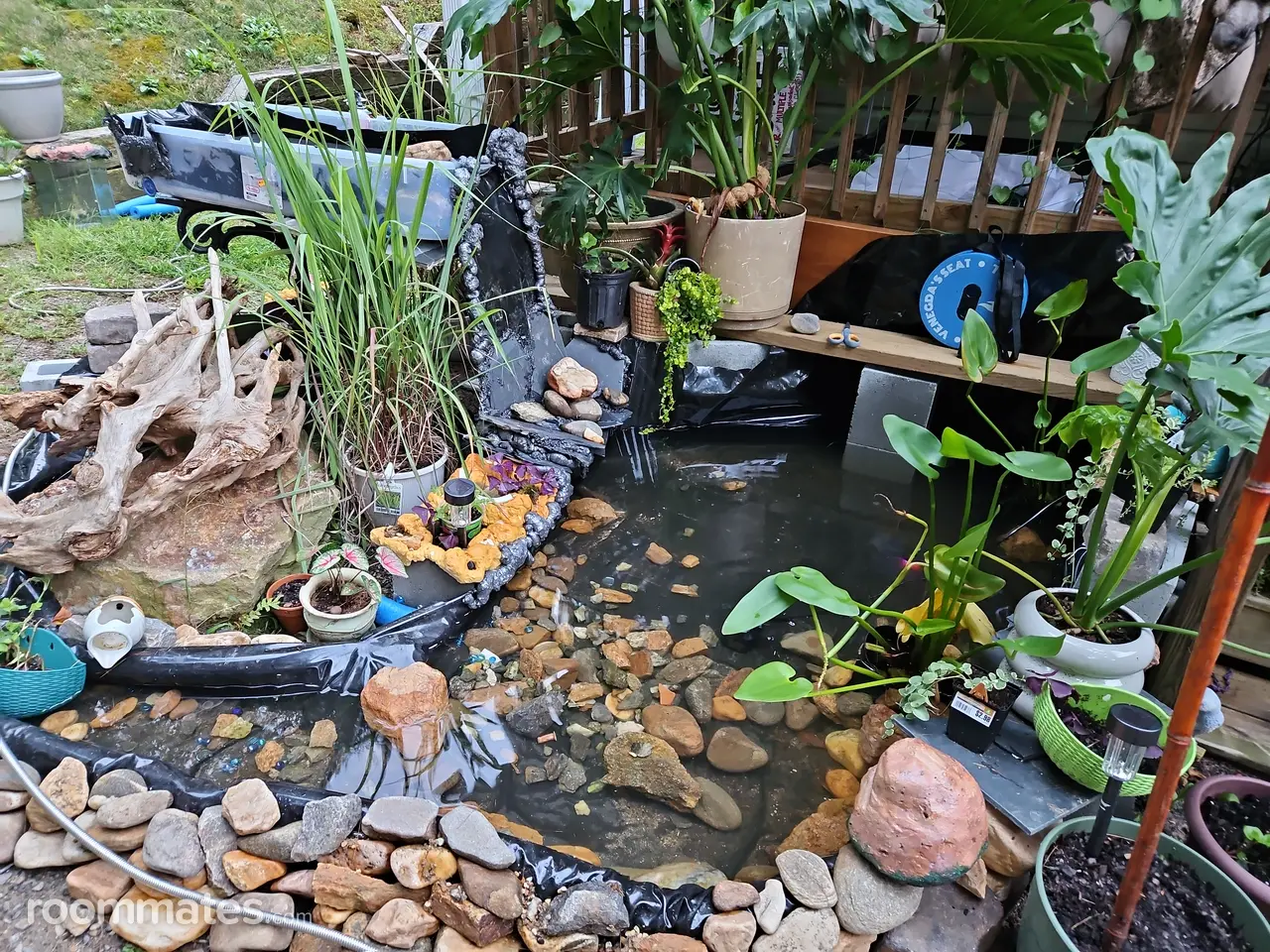 Profile photo 11 of 13