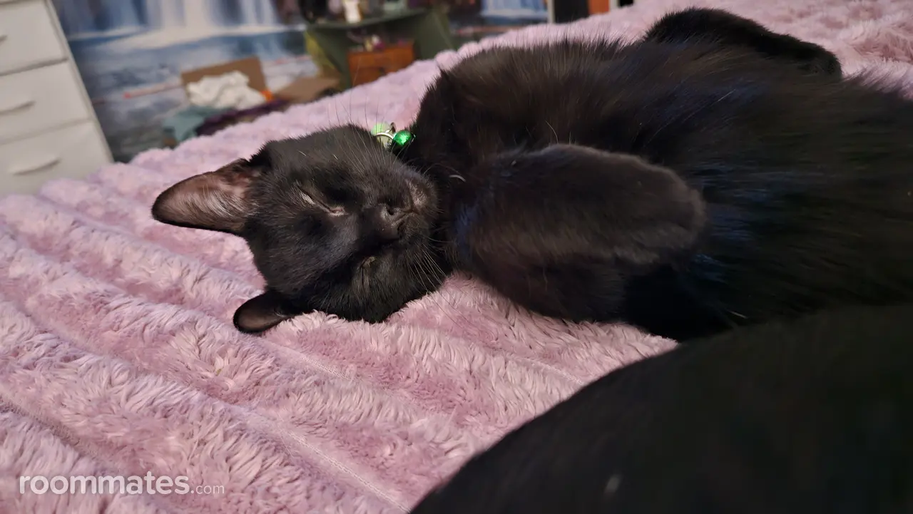 Profile photo 12 of 13