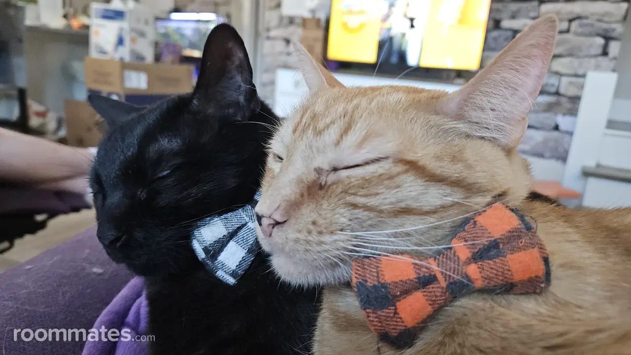 Profile photo 8 of 13