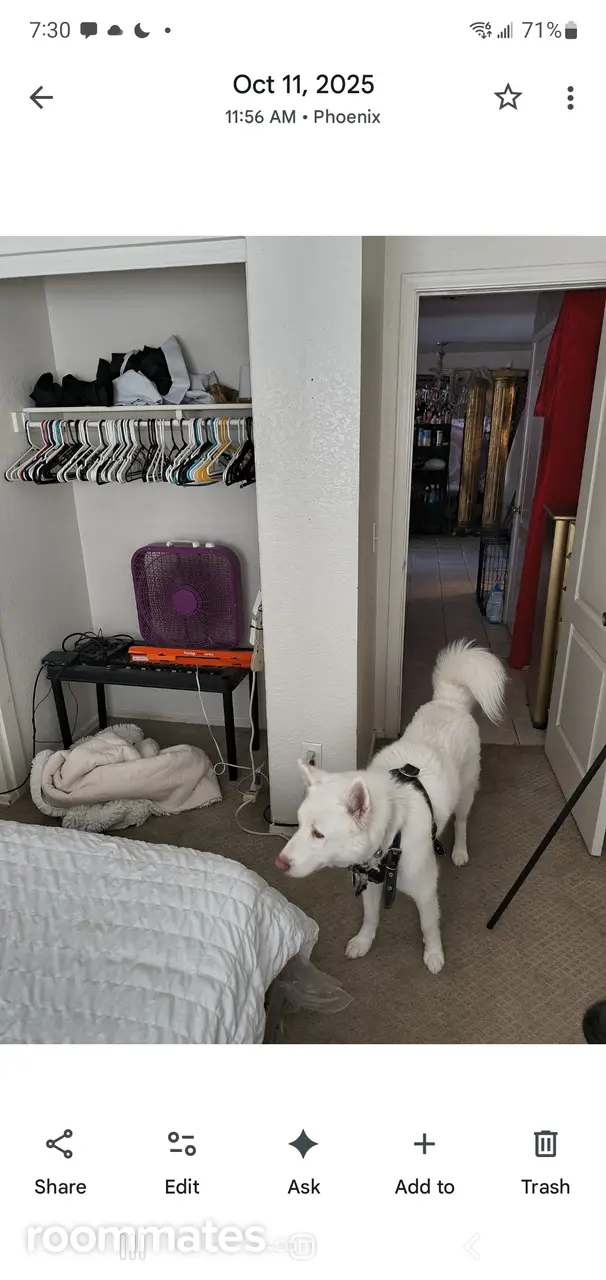 Profile photo 8 of 9