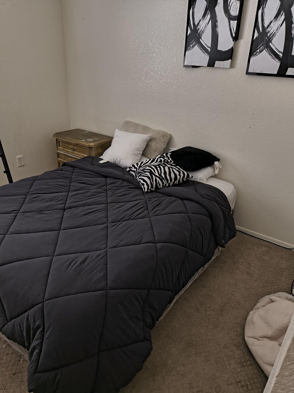 Profile photo 4 of 9