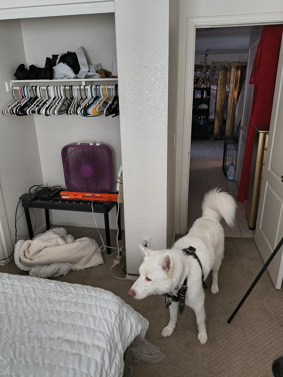 Profile photo 2 of 9