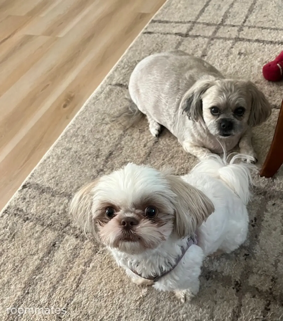 Profile photo 10 of 21