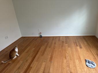 Room for rent in North East, Maryland $1100, townhouse