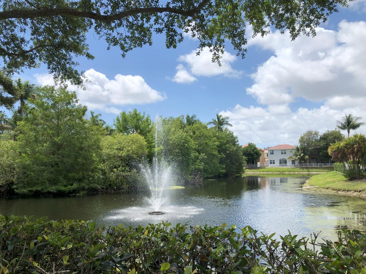 Profile photo 9 of 17