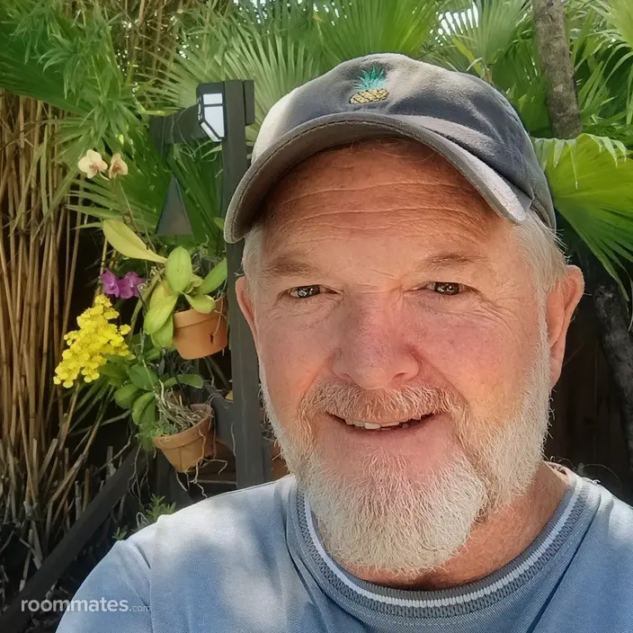 Roommate looking Sarasota, FL, $1200