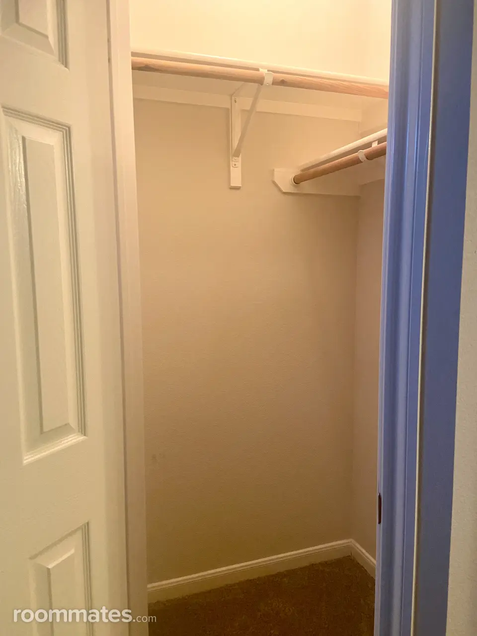 Profile photo 4 of 11