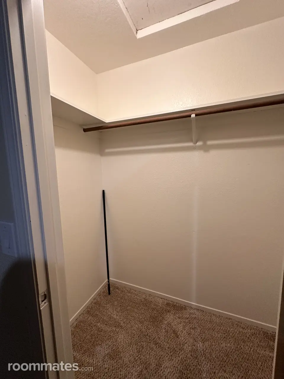 Profile photo 3 of 11