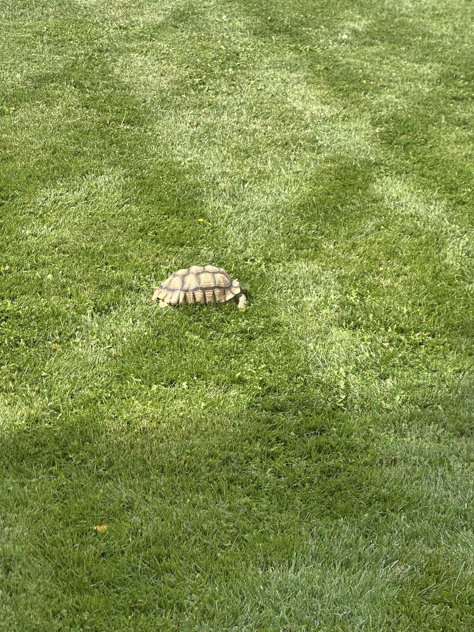 Profile photo 2 of 2