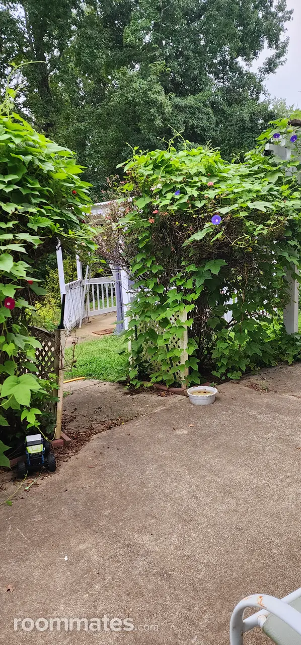 Profile photo 4 of 10