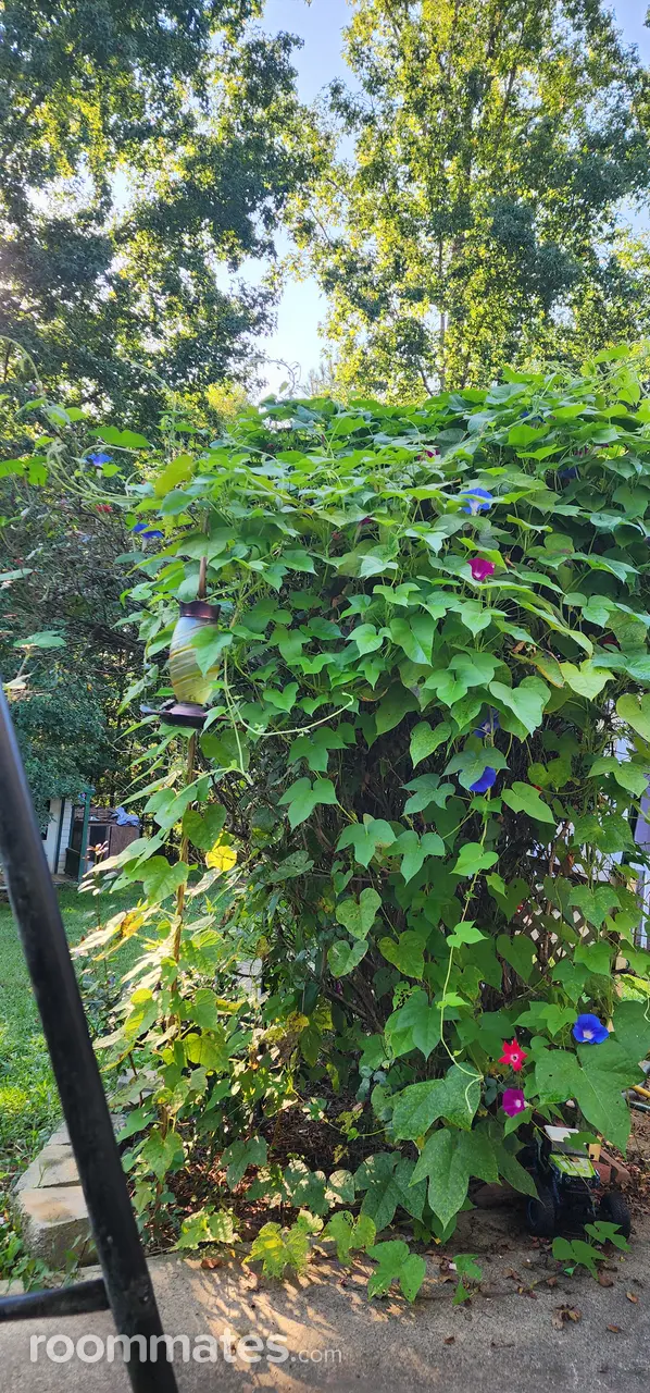 Profile photo 5 of 10