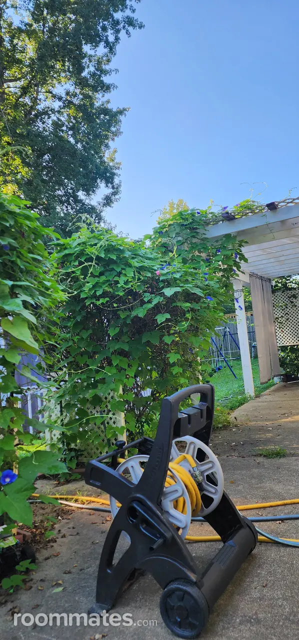 Profile photo 9 of 10