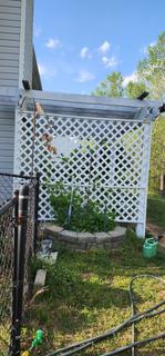 Room for rent in Hampton, GA $700, house