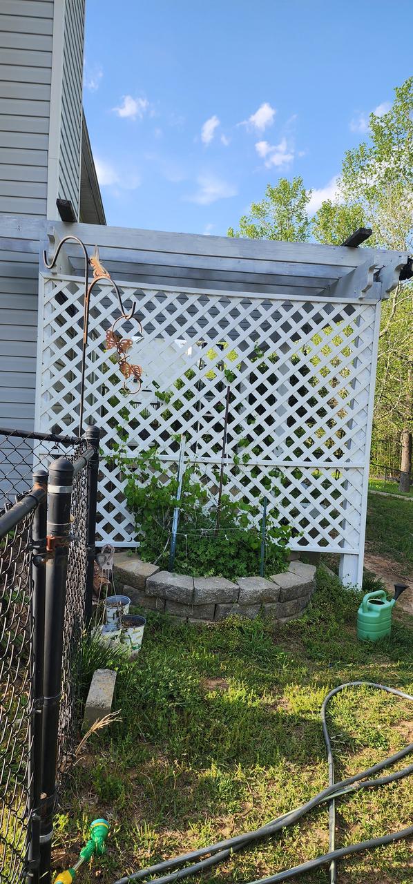 Profile photo 4 of 6