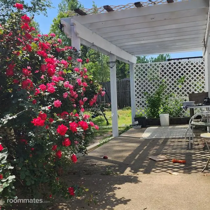 Room for rent in Hampton, GA $700, house