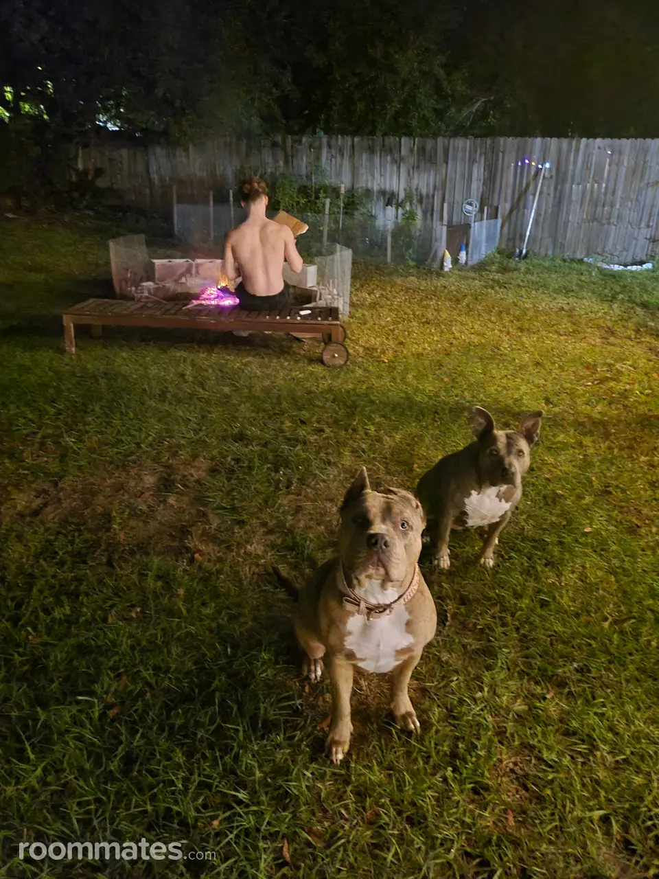 Profile photo 7 of 8