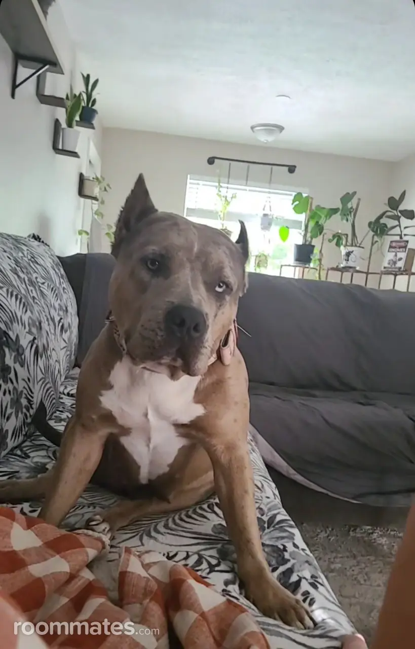 Profile photo 5 of 8