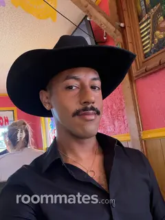 Roommate looking San Antonio, TX, $700