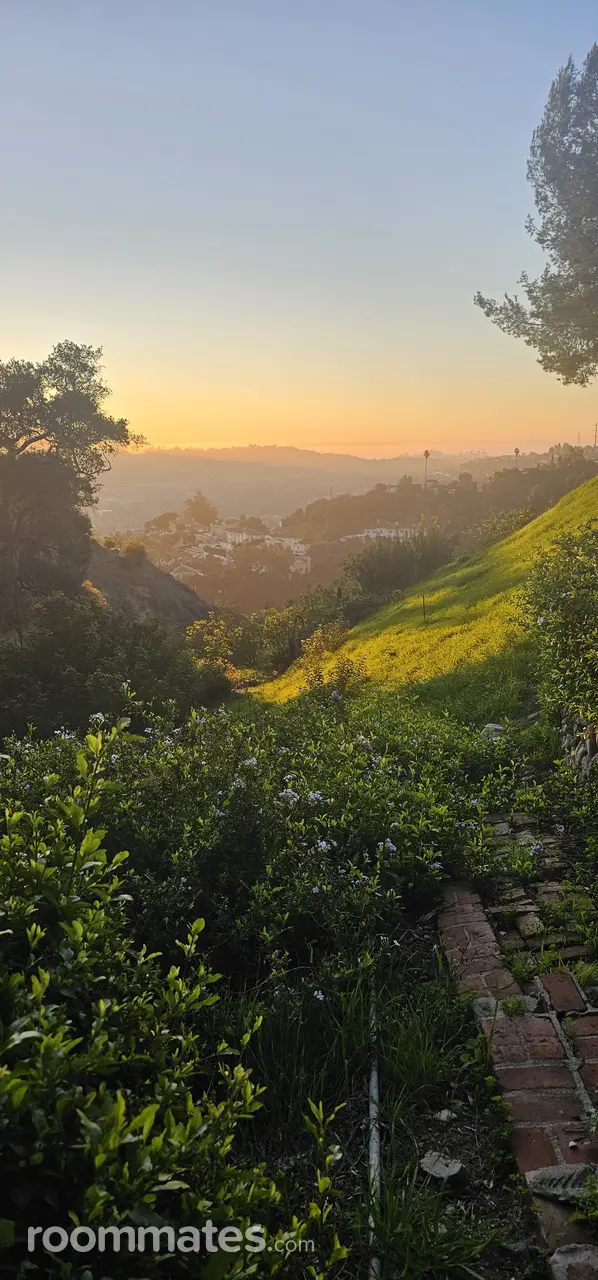 Profile photo 4 of 4