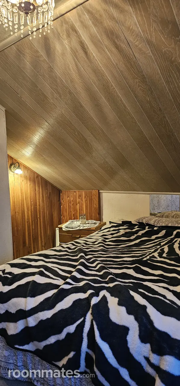 Profile photo 2 of 4