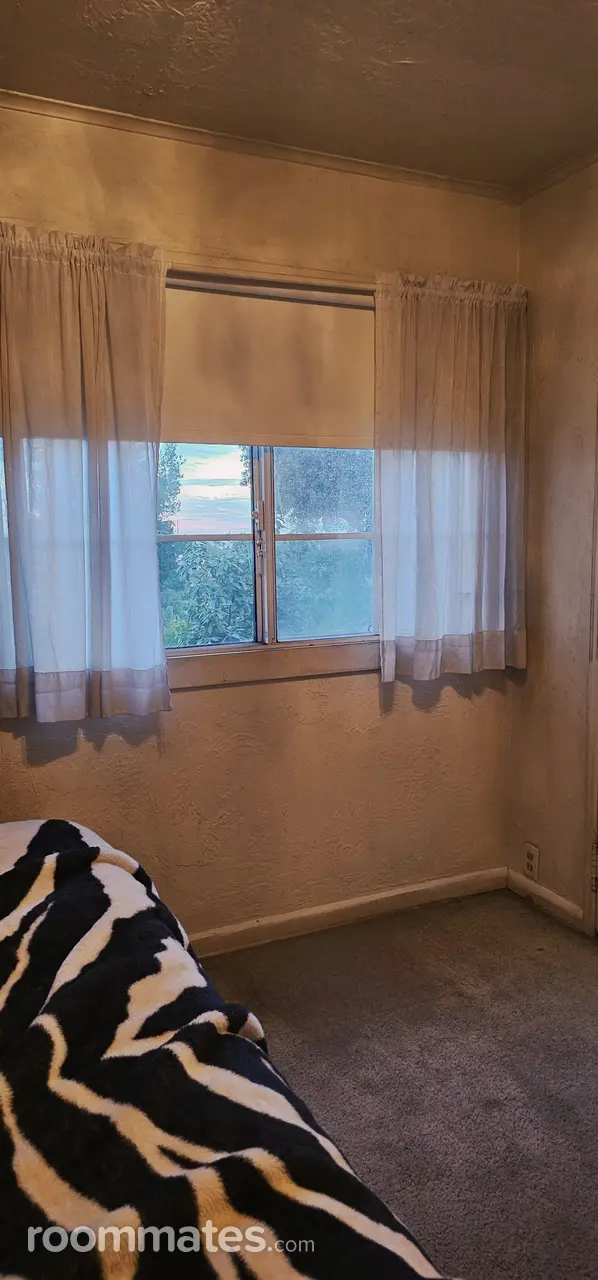 Profile photo 1 of 4