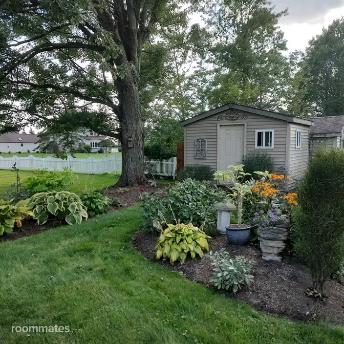 Room for rent in Olmsted Township, OH $700, house
