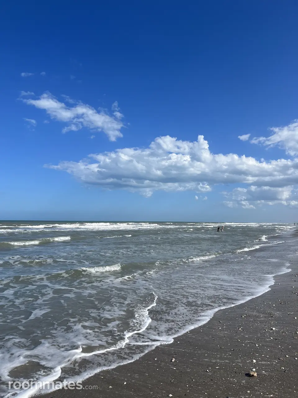 Profile photo 15 of 20