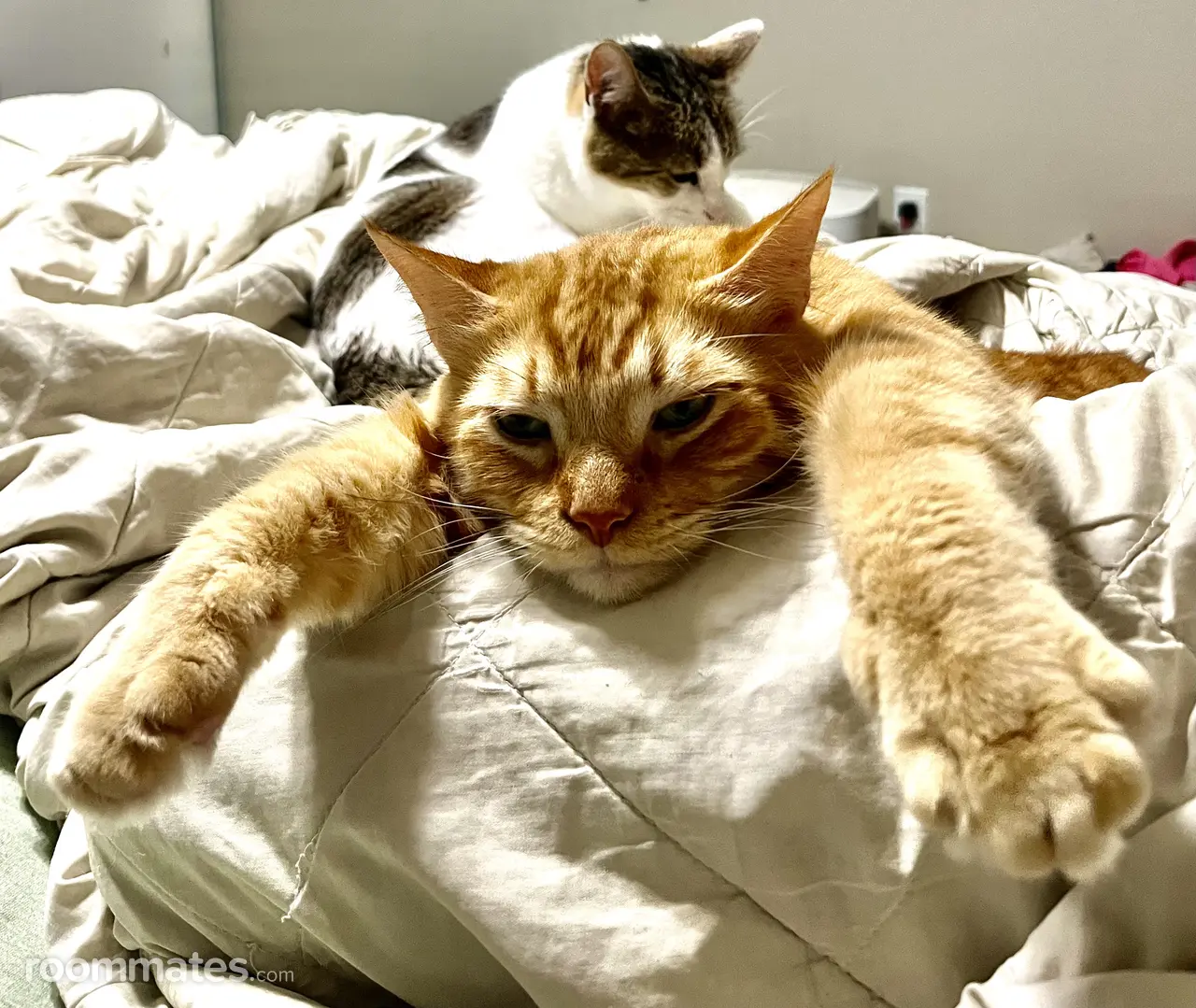 Profile photo 11 of 20