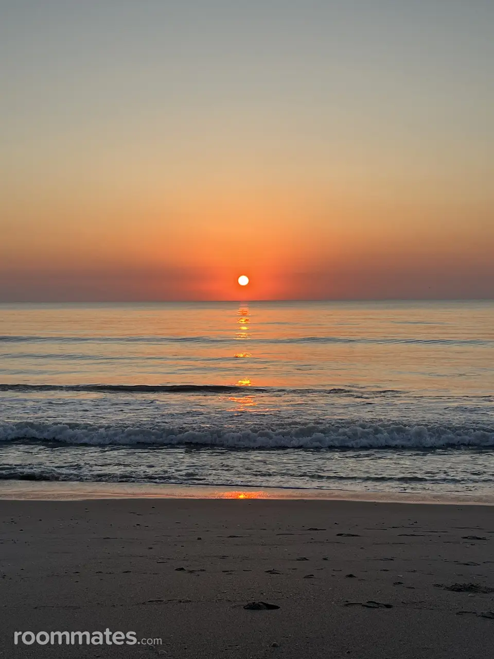 Profile photo 16 of 20