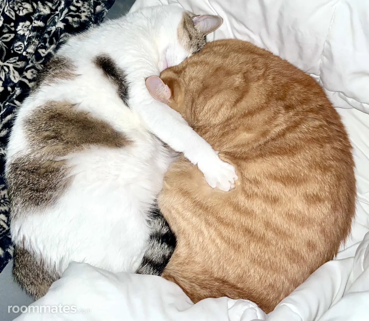 Profile photo 18 of 20