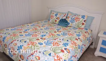 Room for rent in St. Petersburg, FL $950, apartment