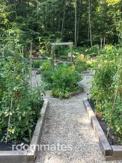 Room for rent in Windham, CT $875, house