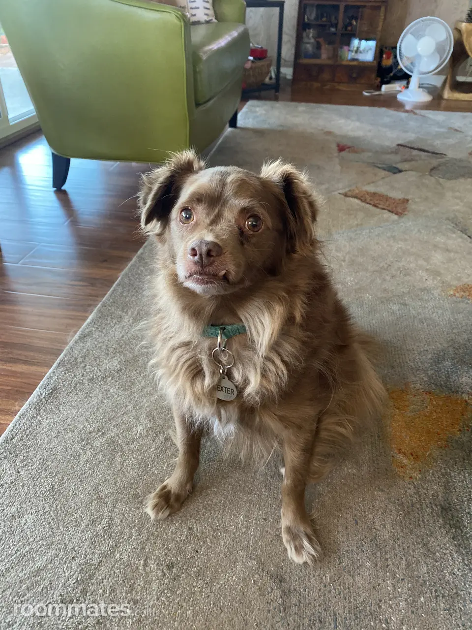 Profile photo 5 of 5