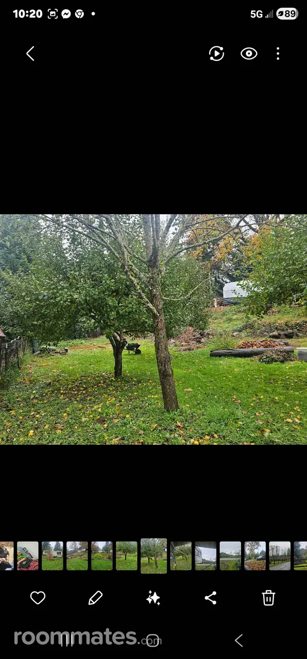 Profile photo 9 of 17