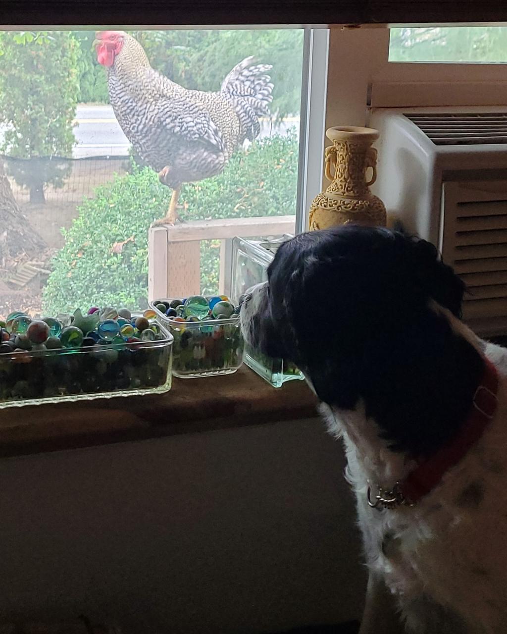 Profile photo 12 of 15