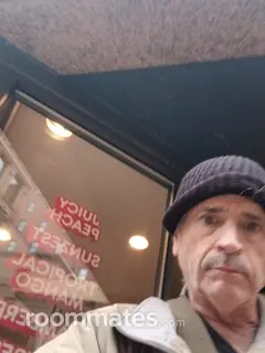 Roommate looking Mashpee, MA, $700