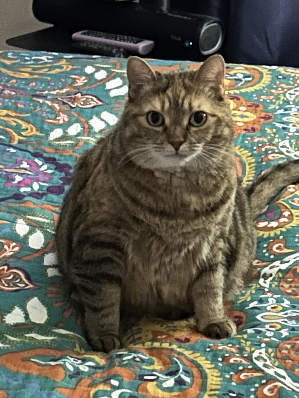 Profile photo 1 of 10