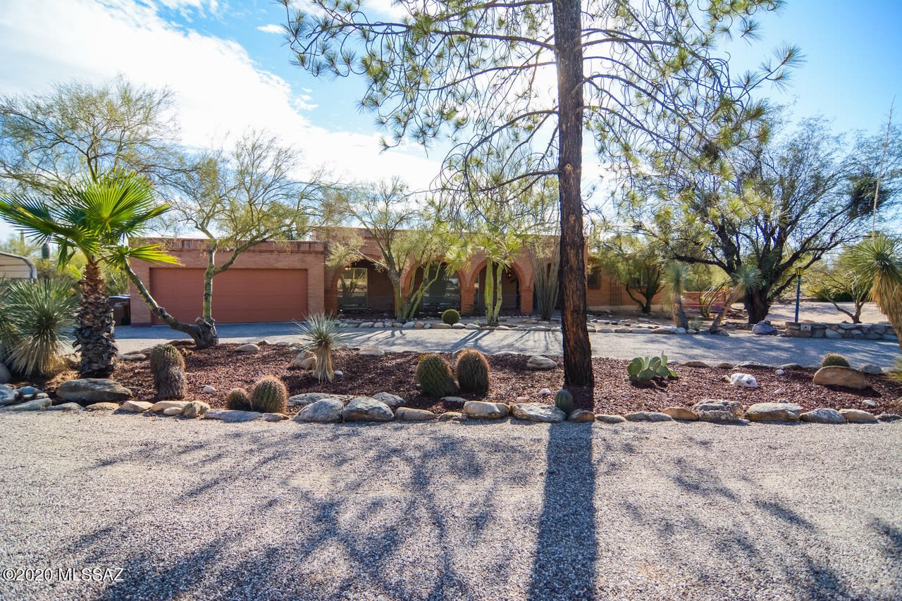 Profile photo 4 of 11