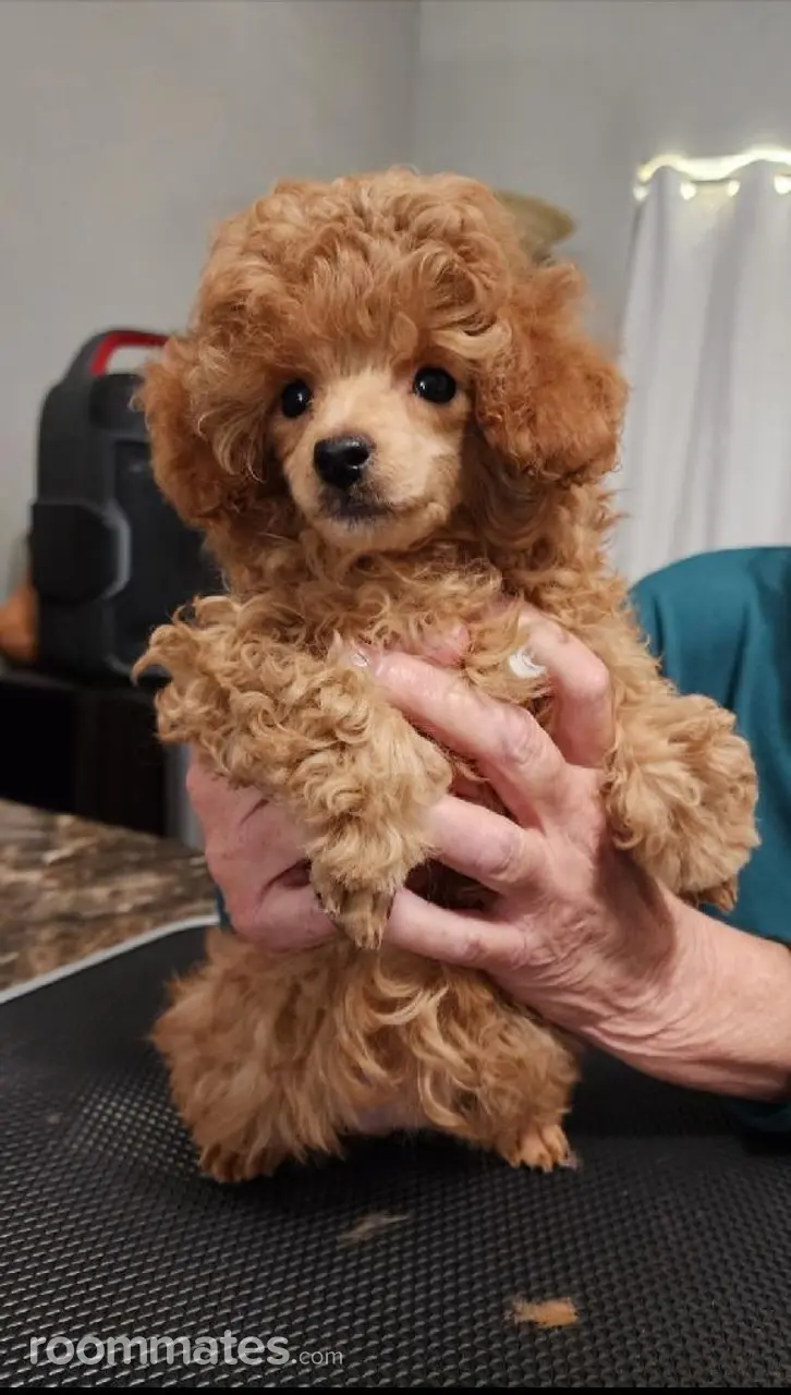 Profile photo 1 of 1