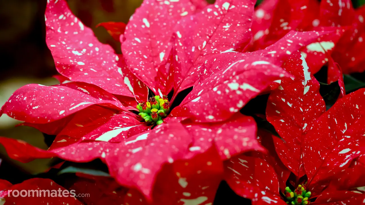 Profile photo 2 of 2