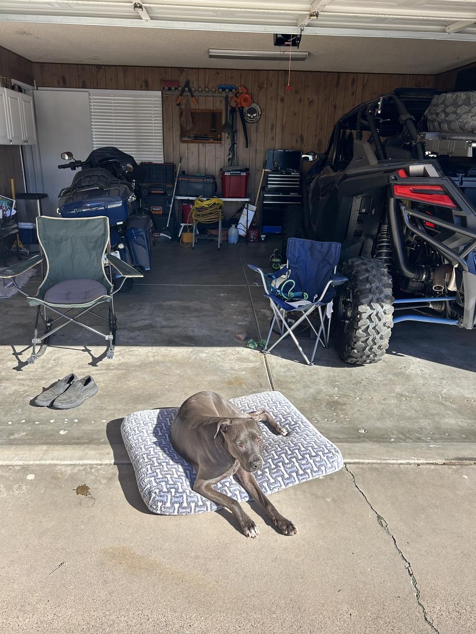 Profile photo 4 of 10