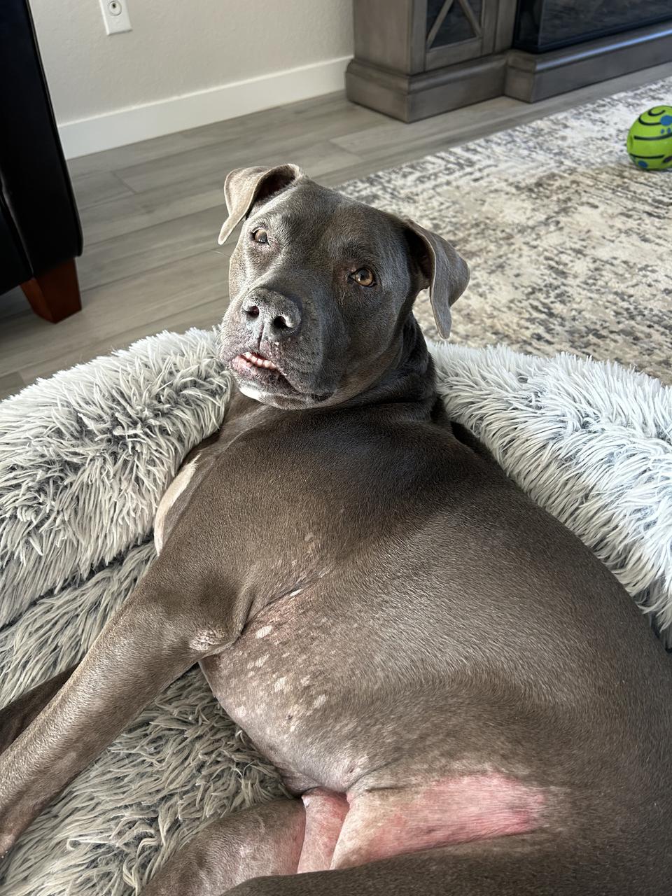 Profile photo 5 of 10