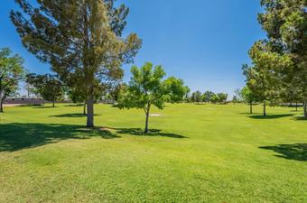 Room for rent in Mesa, AZ $800, house