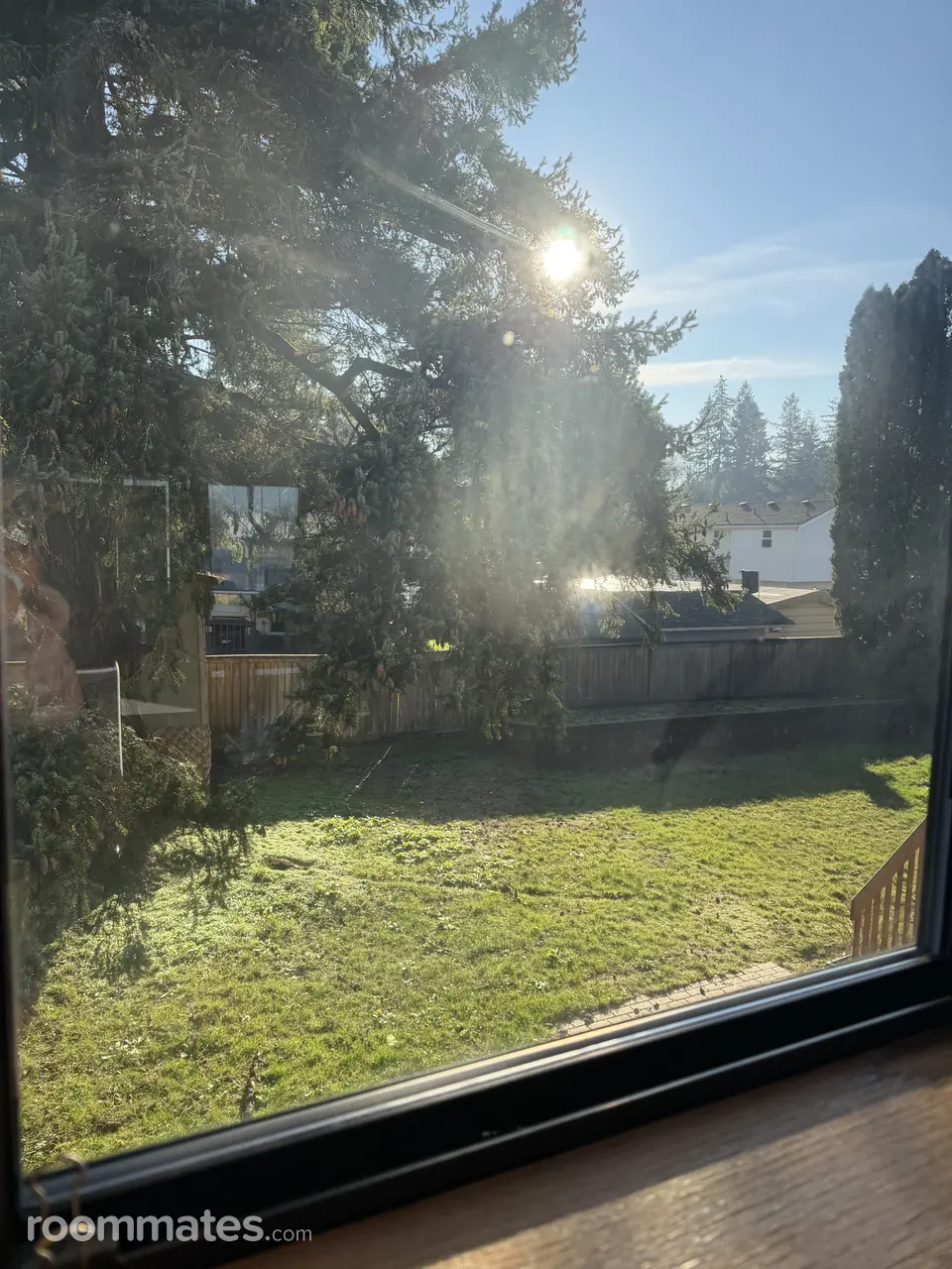 Profile photo 10 of 11